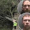 Was 'revenge' the motive behind Sycamore Gap felling? Vandal had been accused of 'destroying the countryside' in planning dispute over his ramshackle caravan home