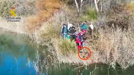 Un detenido tras el hallazgo de un perro ahogado y atado a bloques de hormigón en Arganda