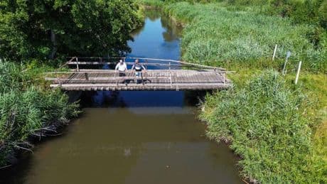 Ernteausfall: Bahn will Brücke abreißen: Bauern können Wiesen nicht mähen