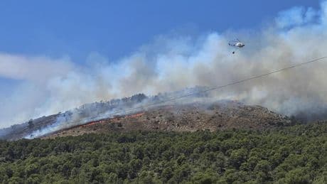 Incendios en España hoy, en directo | Declarado el nivel 2 en los incendios de Ibi (Alicante) y Navaluenga (Ávila)
