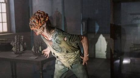‘The Last of Us’ y los hongos: esta es la verdadera amenaza que puede llegar a la Tierra