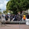 Man zwaargewond door vallende palmboom in Cannes