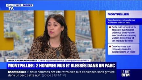 Montpellier : deux hommes nus et blessés dans un parc - 04/08