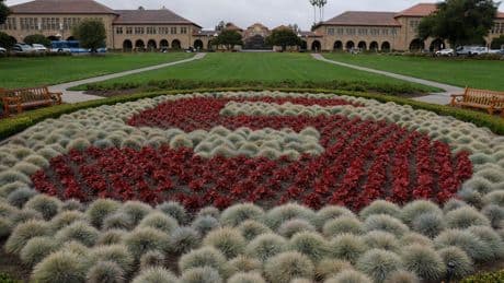 Stanford University laying off hundreds due to Trump cuts