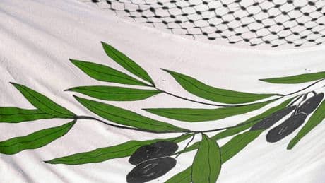 Israel und Gaza | Waffenstillstandsforderung soll antisemitisch sein