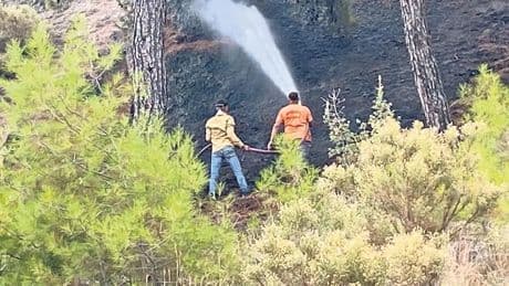 Yanan ormanlar küllerinden doğacak yeşil vatan özveriyle korunacak