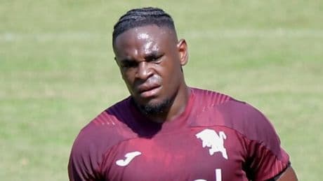 &quot;Zapata insieme a Simeone: la coppia d'attacco Toro funzioner&agrave;&quot;<br />
&nbsp;