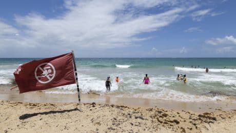 Hurricane Erin becomes a Category 4 in the Caribbean as the region braces for flooding
