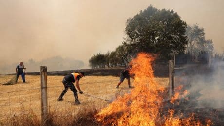 Smoke from apocalyptic wildfires in Spain and Portugal causing overcast UK skies