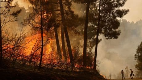 Spanje schakelt Europese hulp in bij bosbranden, derde dode gemeld