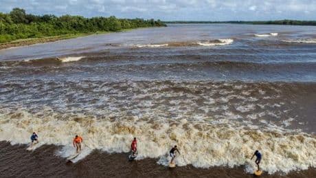 Au Brésil, des surfeurs “chassent” les longues vagues d’Amazonie