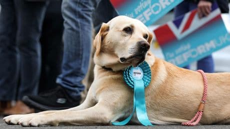 Reform at the gates: could the Hamilton by-election shake Scottish politics?