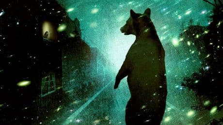 Vivre avec les grizzlis en Colombie-Britannique