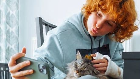 Katzen: Universität Bochum benötigt Katzenvideos für die Forschung