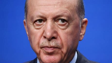 Beleidigte seine Mutter – Erdogan verbietet Musks KI-Bot "Grok" in der Türkei