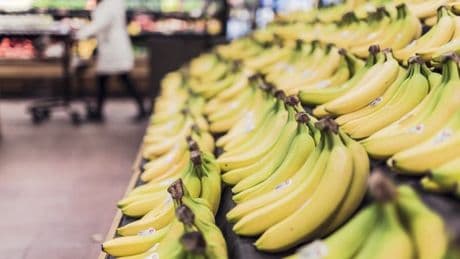 Pays-Bas: de la cocaïne retrouvée dans des bananes dans plusieurs supermarchés