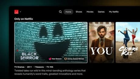 Netflix gets total makeover for first time in 10 years – as bosses vow to fix TV app’s worst problem for viewers