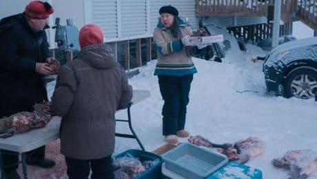 Le méthylmercure, poison invisible qui menace les peuples de l’Arctique