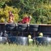 Cows rescued as lorry overturns on motorway