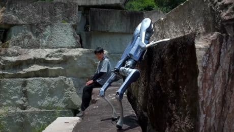De película de acción: este robot cuadrúpedo rompe cristales, corre cuesta abajo y puede llevarte encima