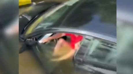 Man swims for his life after Tesla slips off Quebec ferry
