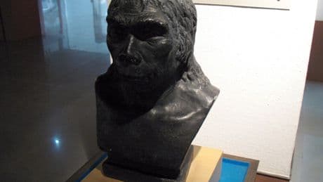 En 1958 encontramos un cráneo con 300.000 años en China. El problema es que no sabemos a qué "Homo" pertenece
