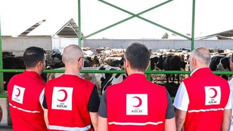 Kızılay'ın 2025 kurban vekalet bedelleri belli oldu
