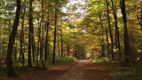Groen licht in Duitsland voor windmolens bij Groesbeek: 'Zo ga je niet met buren om'