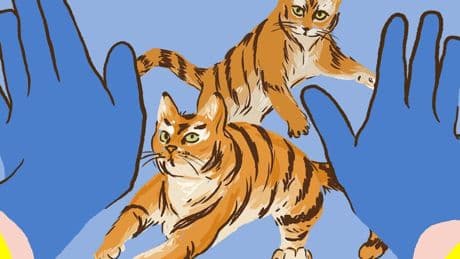 Medizin: Katzenangriff beim Fieberkrampf