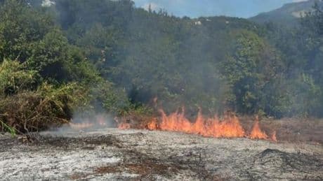 Incendio boschivo sopra Luni, impegnato elicottero regionale