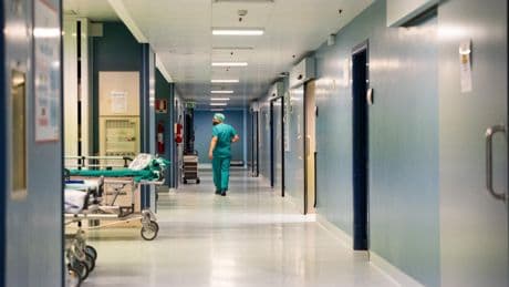 È allarme scabbia in Italia: sintomi, cure e come proteggersi