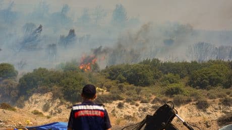Foça'da orman yangını! Alevler evlere sıçradı: 4 kişi gözaltına alındı