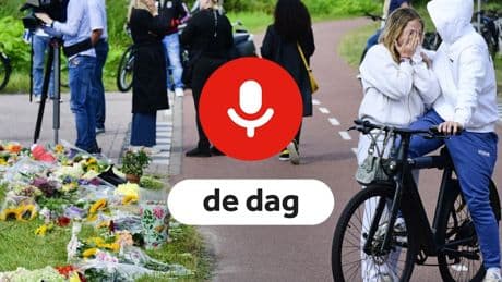Podcast De Dag: wat Lisa's dood online losmaakt