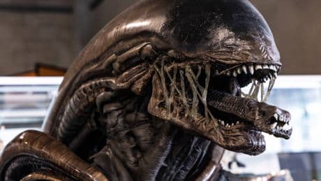 Alien: Pianeta Terra su Disney+, tra nuovi ibridi e il ricordo che siamo mortali