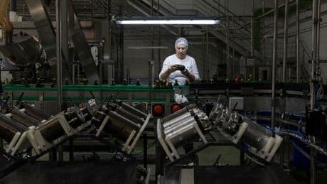 Los olivareros denuncian ante Competencia pactos desleales para hundir los precios en origen del aceite de oliva