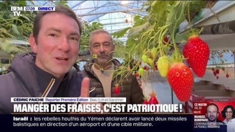 Face à la concurrence espagnole, les 15 prochains jours seront la période idéale pour acheter des fraises françaises