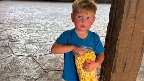 Horror as 2-year-old boy's organs shut down after being stung 150 times by wasps