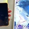 Zecken-Check mit dem Smartphone: So geht's