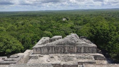 Calakmul, la inmensidad de la selva