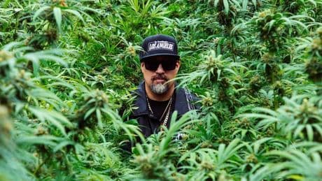 Inside The New Cannabis Power Play: Why B-Real, Mike Tyson, Method Man Are Betting On Seeds