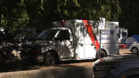 Person seriously injured by falling tree at Vancouver Island campground