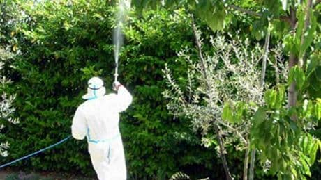 Dengue, un caso a Budrio: uomo con febbre e rash cutaneo. Avviata la disinfestazione straordinaria