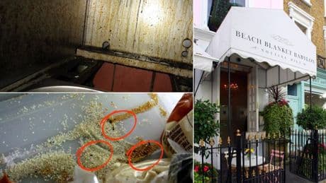 Posh London restaurant fined £31,000 after dead mouse found in kitchen