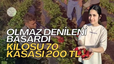 Kimse olmaz dedi ama o yine de ekti! Şimdi 81 ilde satışa başladı: Kilosunu 70’e kasasını 200 TL’ye satıyor