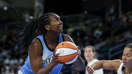 Basketball: Chicago-Sky-Fan wirft Erotik-Spielzeug– und wird verhaftet
