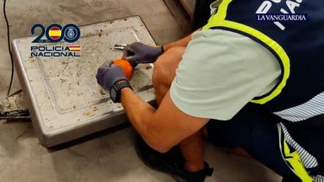 Droga camuflada como falsas naranjas: la policía se incauta 3.500 kilos de hachís en Cádiz