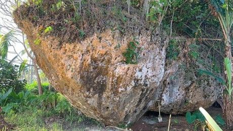 Forscher lösen Rätsel um riesigen Felsen im Dschungel