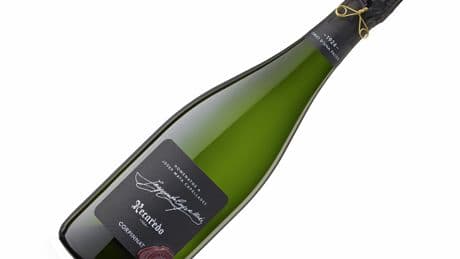 Los 8 vinos con 100 puntos en la Guía Peñín 2026