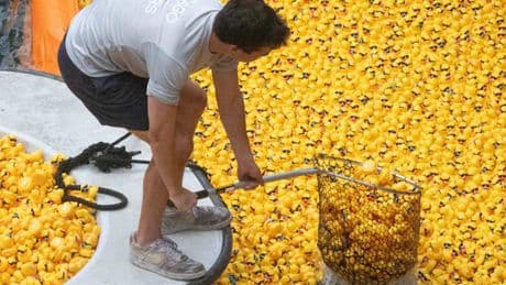 Tausende Quietsche-Enten gehen für den guten Zweck baden