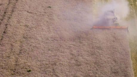 Erntebilanz: Erntemenge erholt sich - Qualität leidet unter dem Wetter